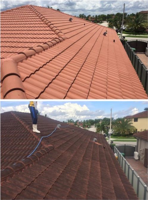 Tile Roof Cleaning