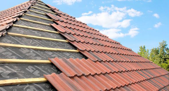 Roof Cleaning 2